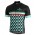 BIANCHI MILANO Codigoro Fahrradbekleidung Radtrikot 1ATJH